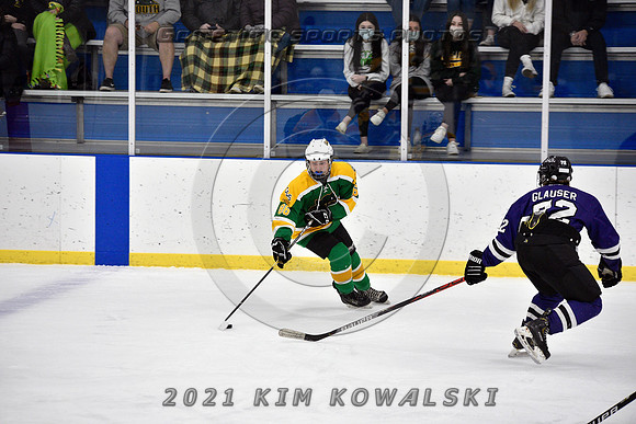 _GSP9418 (Copy)