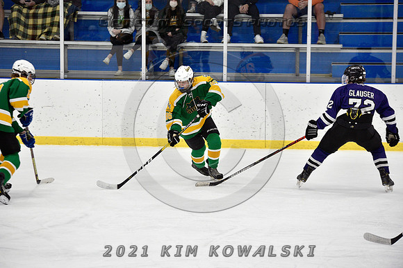 _GSP9419 (Copy)
