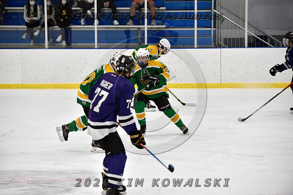 _GSP9421 (Copy)