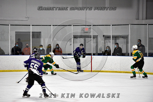 _GSP9433 (Copy)
