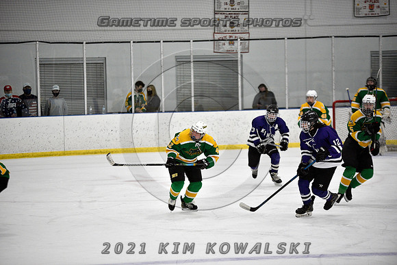 _GSP9491 (Copy)