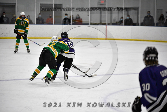 _GSP9498 (Copy)