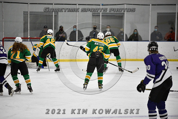 _GSP9501 (Copy)