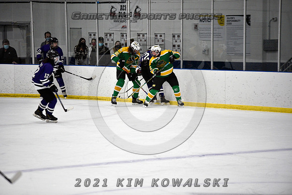 _GSP9507 (Copy)