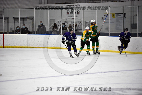 _GSP9509 (Copy)