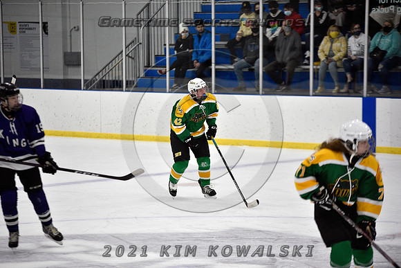 _GSP9510 (Copy)