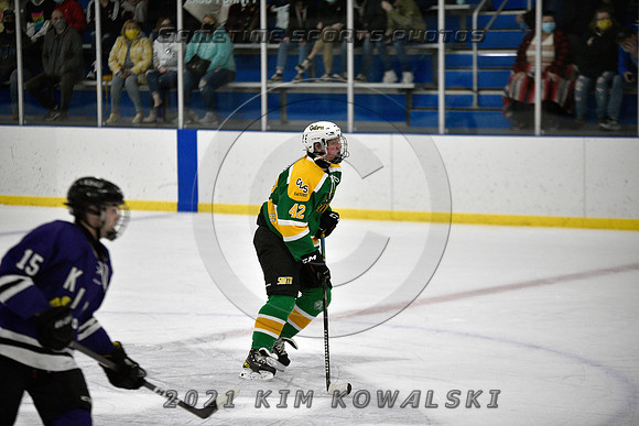 _GSP9511 (Copy)