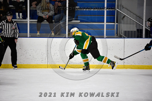 _GSP9515 (Copy)