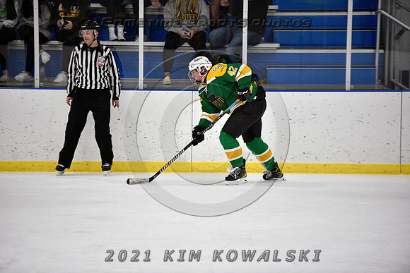_GSP9516 (Copy)