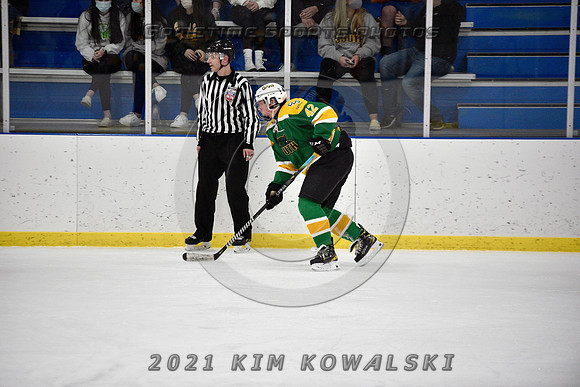 _GSP9517 (Copy)