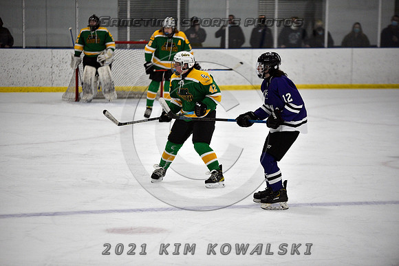 _GSP9521 (Copy)