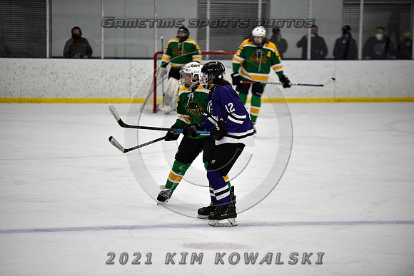 _GSP9522 (Copy)