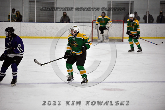 _GSP9523 (Copy)