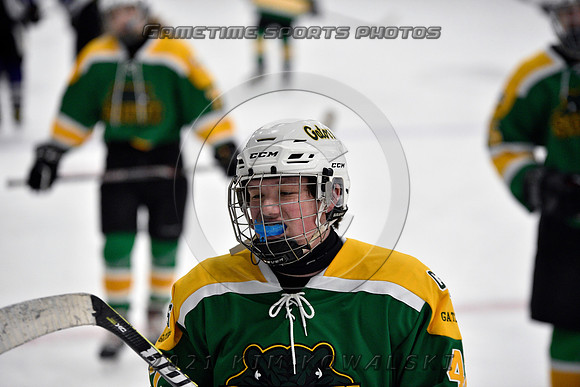 _GSP9530 (Copy)