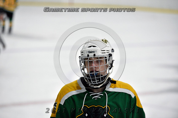 _GSP9531 (Copy)