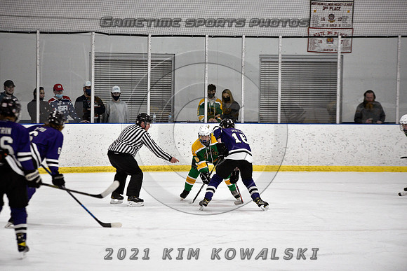 _GSP9535 (Copy)