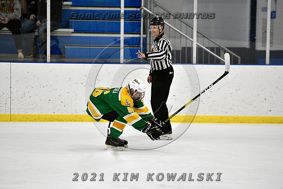 _GSP9545 (Copy)