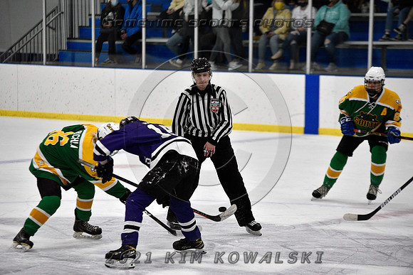 _GSP9546 (Copy)
