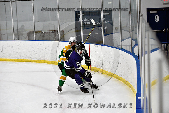 _GSP9571 (Copy)