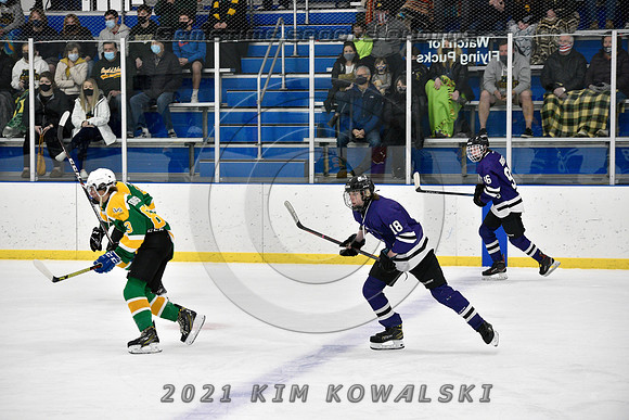 _GSP9582 (Copy)