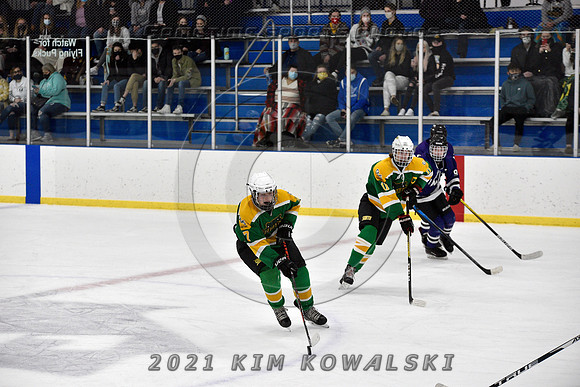 _GSP9590 (Copy)
