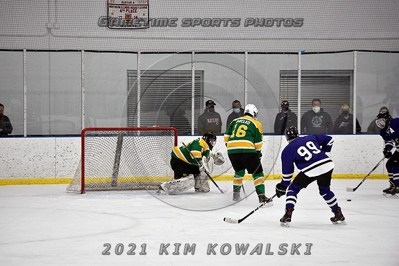 _GSP9607 (Copy)