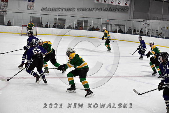 _GSP9633 (Copy)