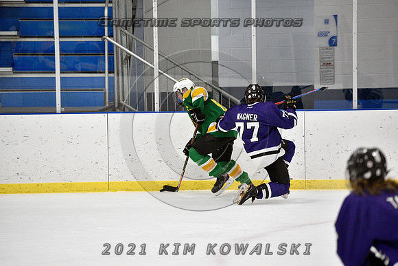_GSP9998 (Copy)