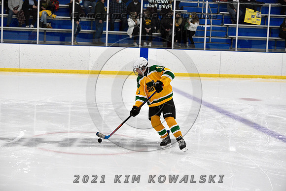 _GSP0089 (Copy)