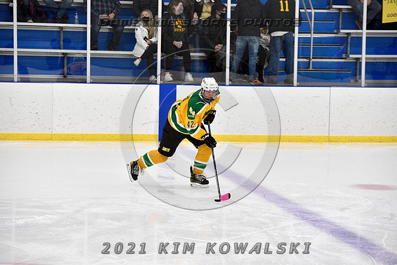 _GSP0095 (Copy)