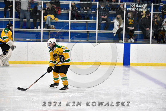 _GSP0099 (Copy)
