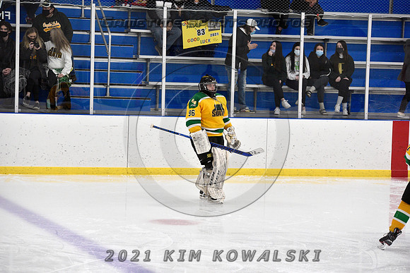 _GSP0100 (Copy)