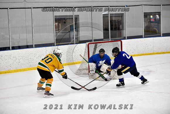 _GSP0481 (Copy)