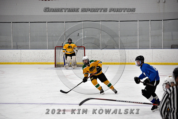 _GSP0484 (Copy)