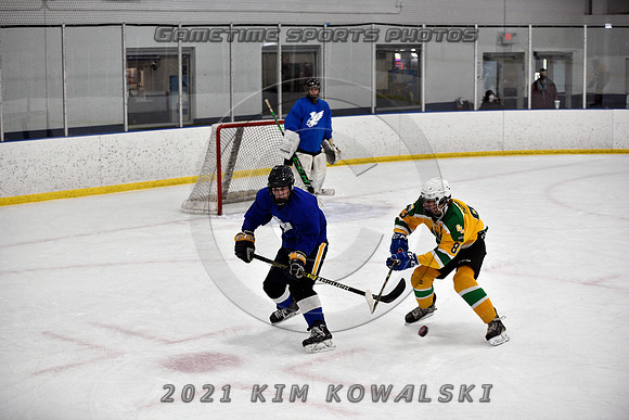 _GSP0487 (Copy)
