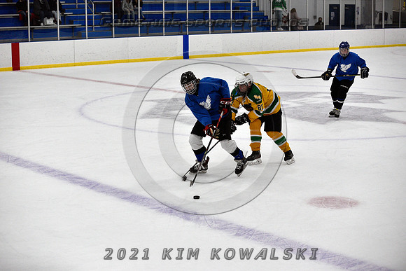 _GSP0803 (Copy)