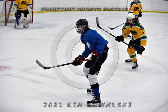_GSP0808 (Copy)