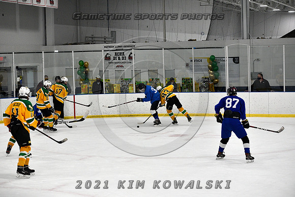 _GSP0833 (Copy)