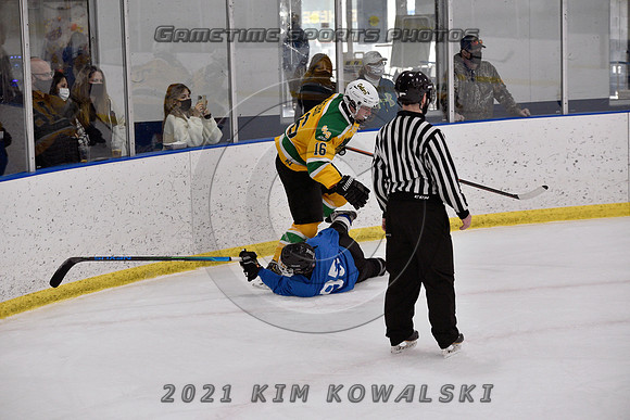 _GSP0856 (Copy)