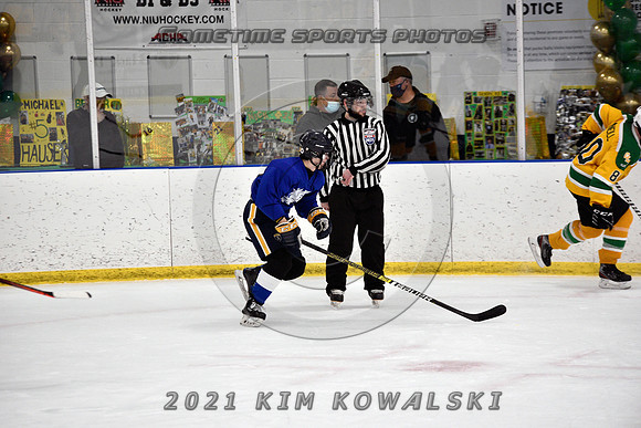 _GSP0869 (Copy)