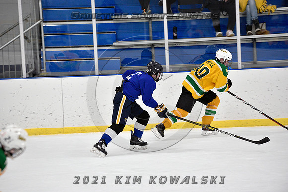 _GSP0870 (Copy)