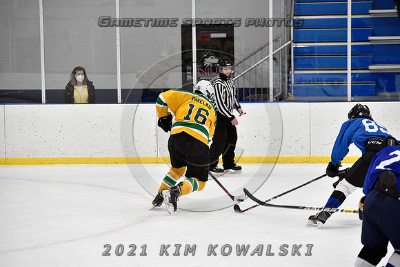 _GSP0873 (Copy)