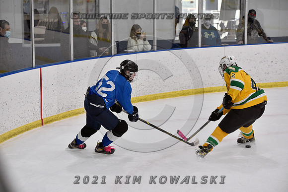 _GSP0875 (Copy)