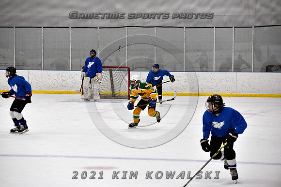 _GSP0888 (Copy)