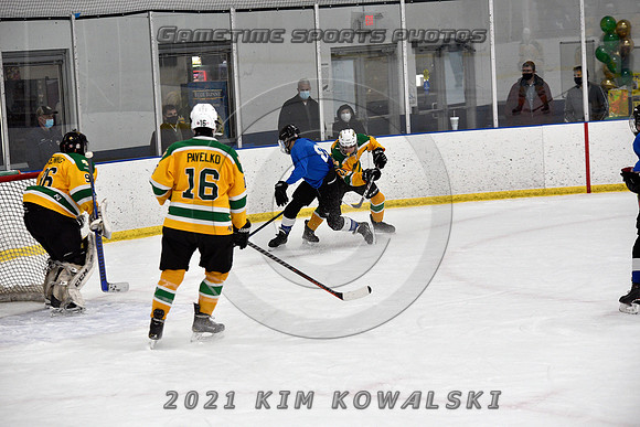_GSP0891 (Copy)