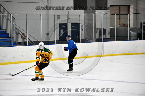 _GSP0895 (Copy)