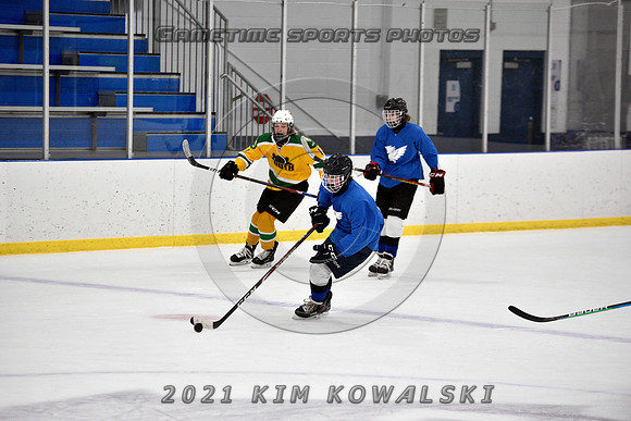 _GSP0932 (Copy)