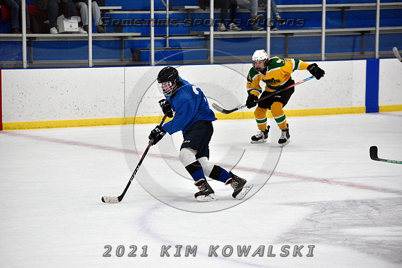 _GSP0933 (Copy)