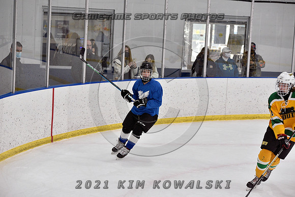 _GSP0939 (Copy)