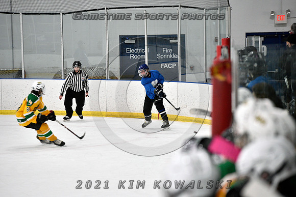 _GSP0949 (Copy)